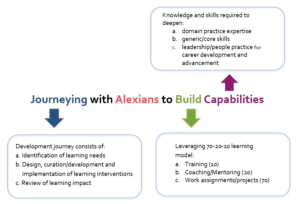 Journeying with Alexians to Build Capabilities