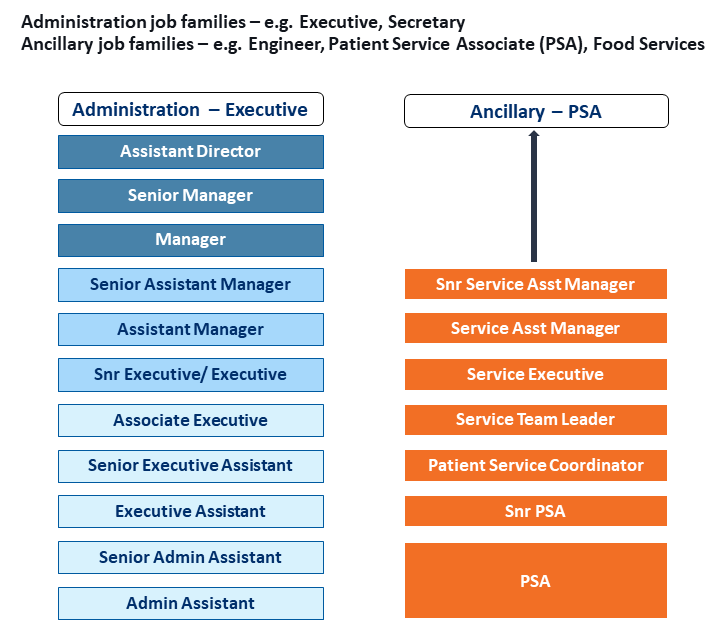 Admin Career Pathway Chart