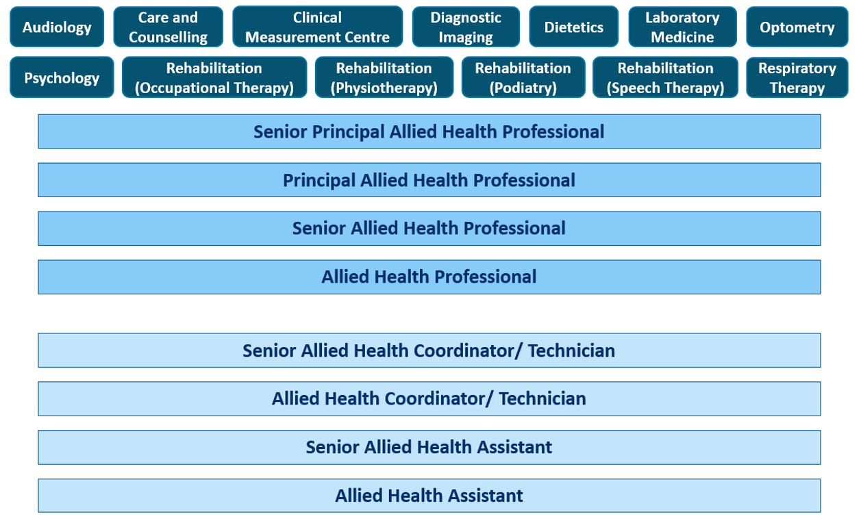 AHP Career Pathway Chart