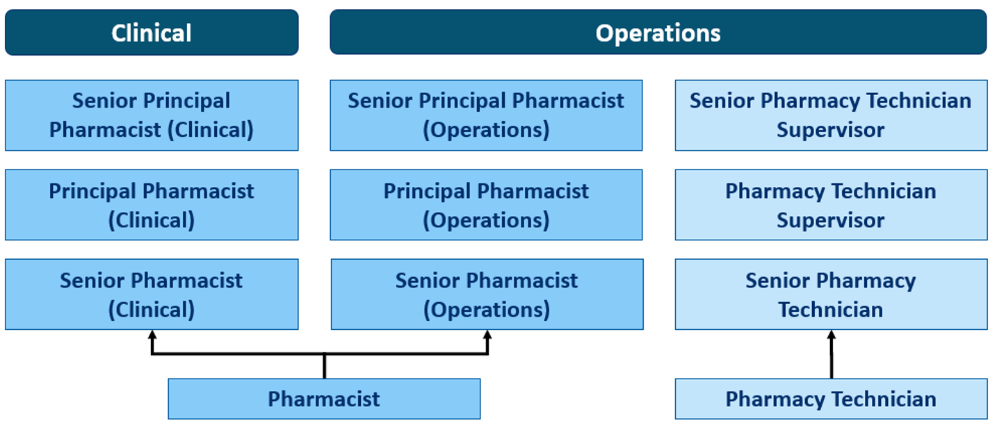 Pharmacist Career Pathway Chart