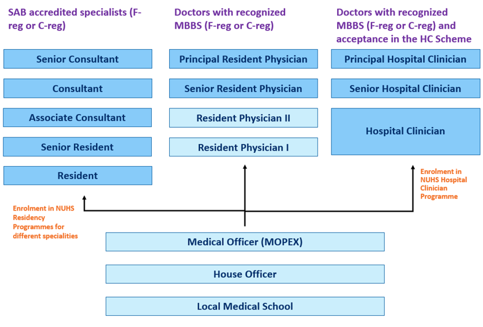 Doctor Career Pathway Chart