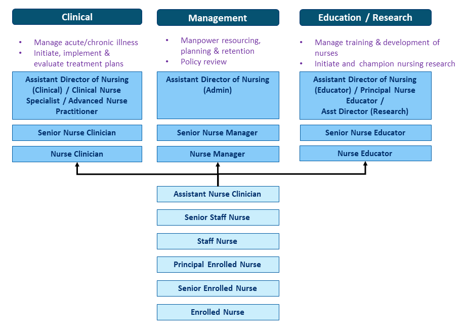 Nursing Career Pathway Chart