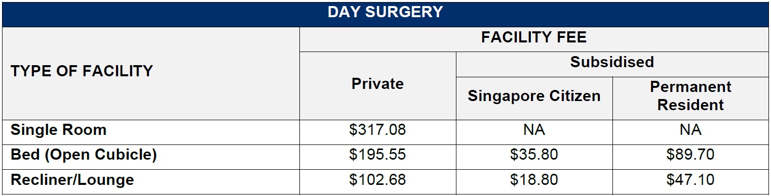 Day Surgery