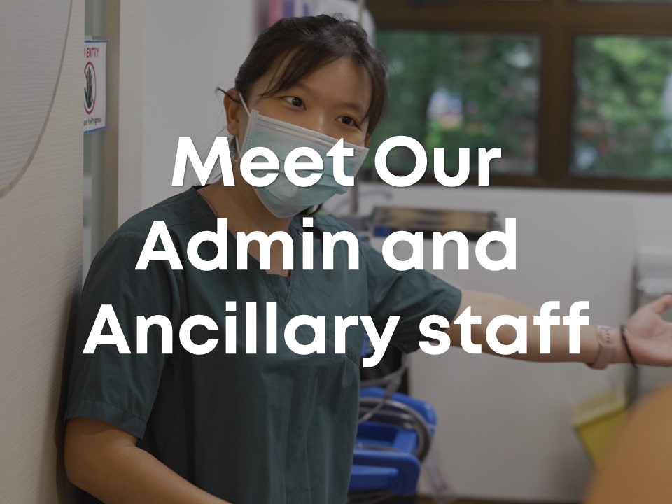 Meet Our Admin and Ancillary Staff